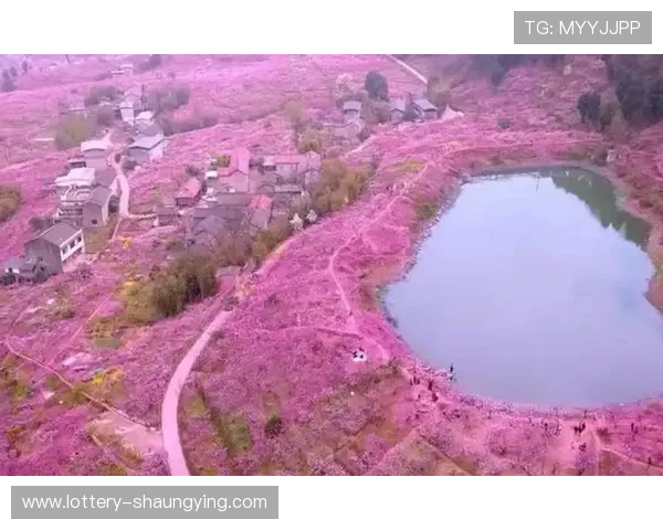 赏花胜地推荐：2026年春季十大最美花海与最佳游玩时机